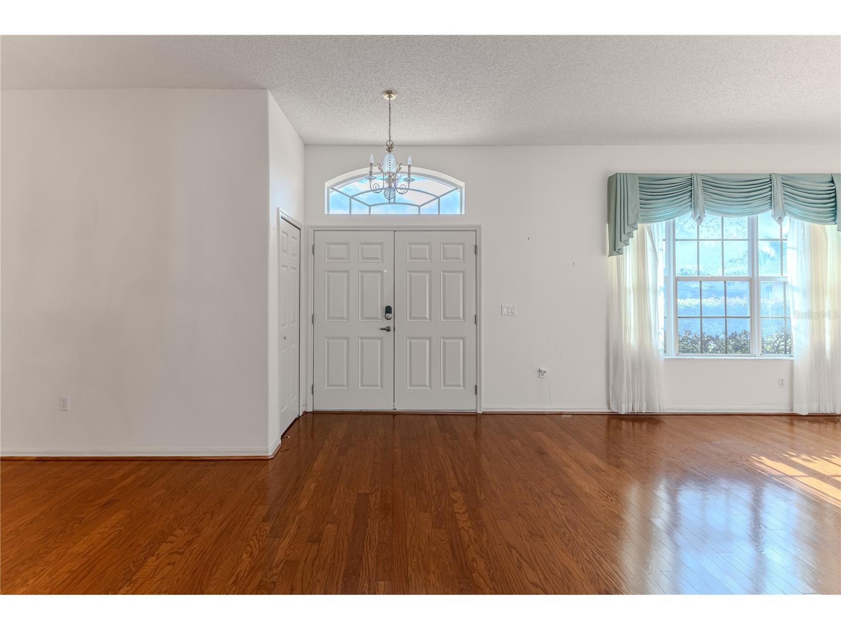 239 Longleaf Court Spring Hill FL 34609 W7883126 image6