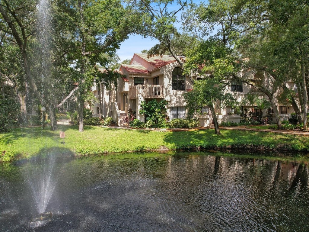 239 Los Prados Drive #239 Safety Harbor FL 34695 TB8318558 image1