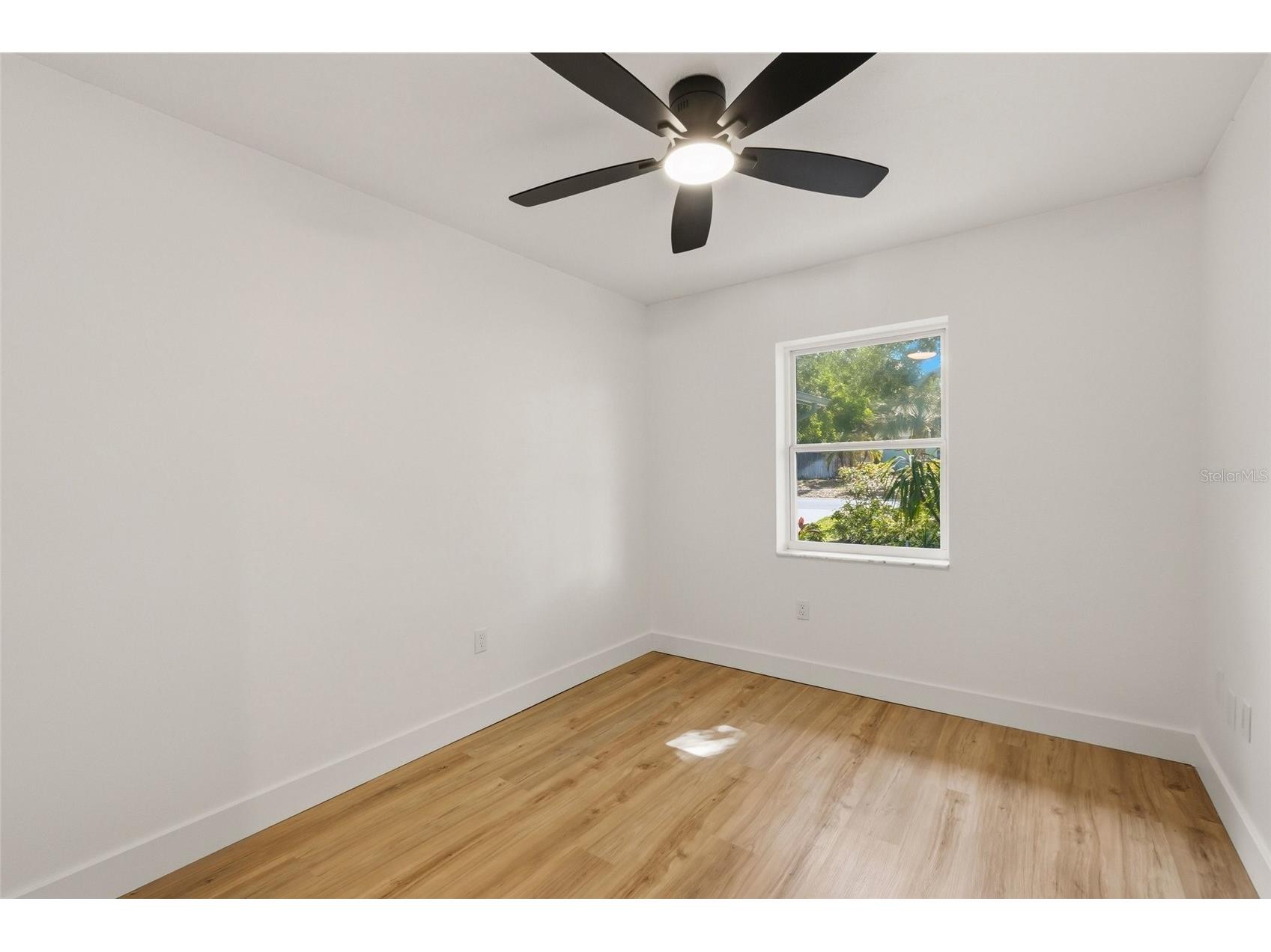 239 Myrtle Court Palm Harbor FL 34683 TB8502976 image18