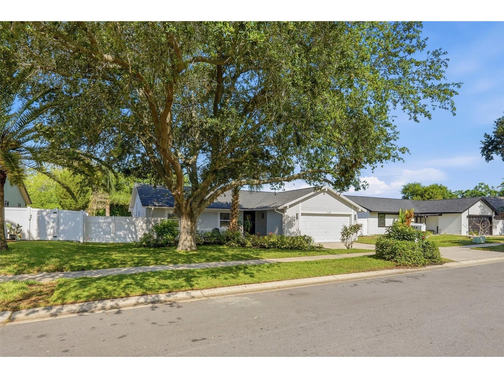 239 Myrtle Court Palm Harbor FL 34683 TB8502976 image31
