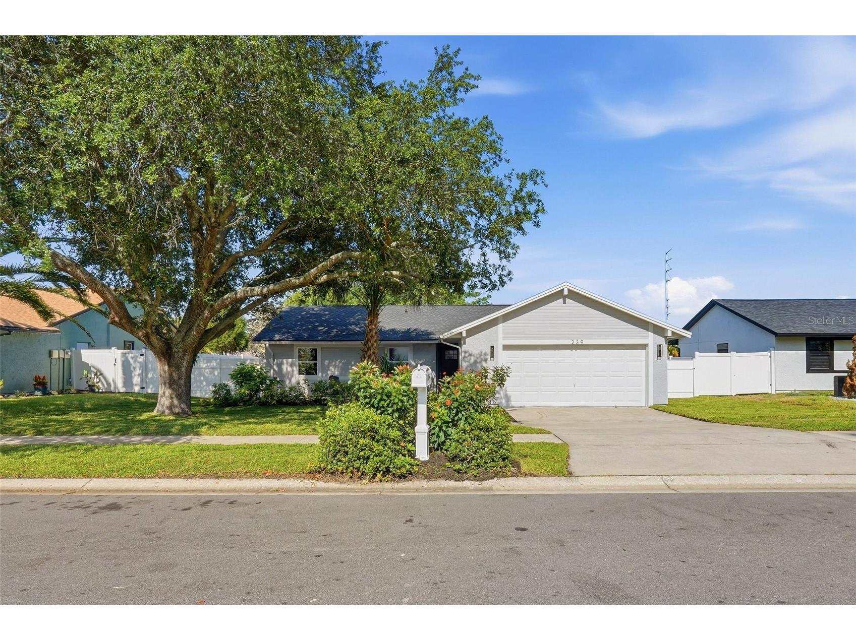 239 Myrtle Court Palm Harbor FL 34683 TB8502976 image33