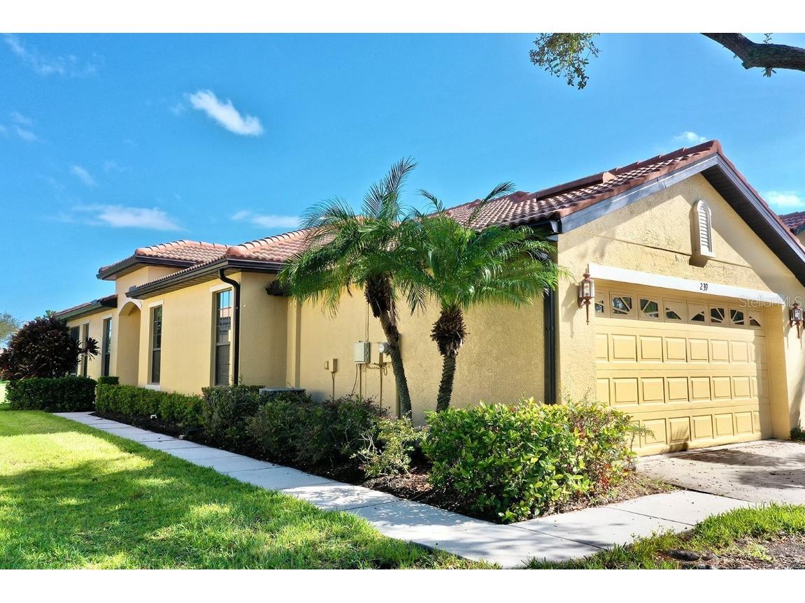 239 Mystic Falls Drive Apollo Beach FL 33572 T3476789 image1