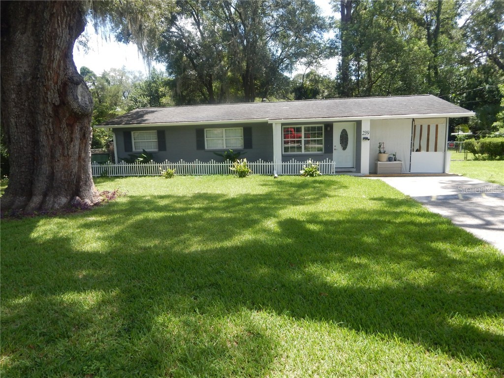 239 NE 2nd St. Williston FL 32696 OM660573 image1