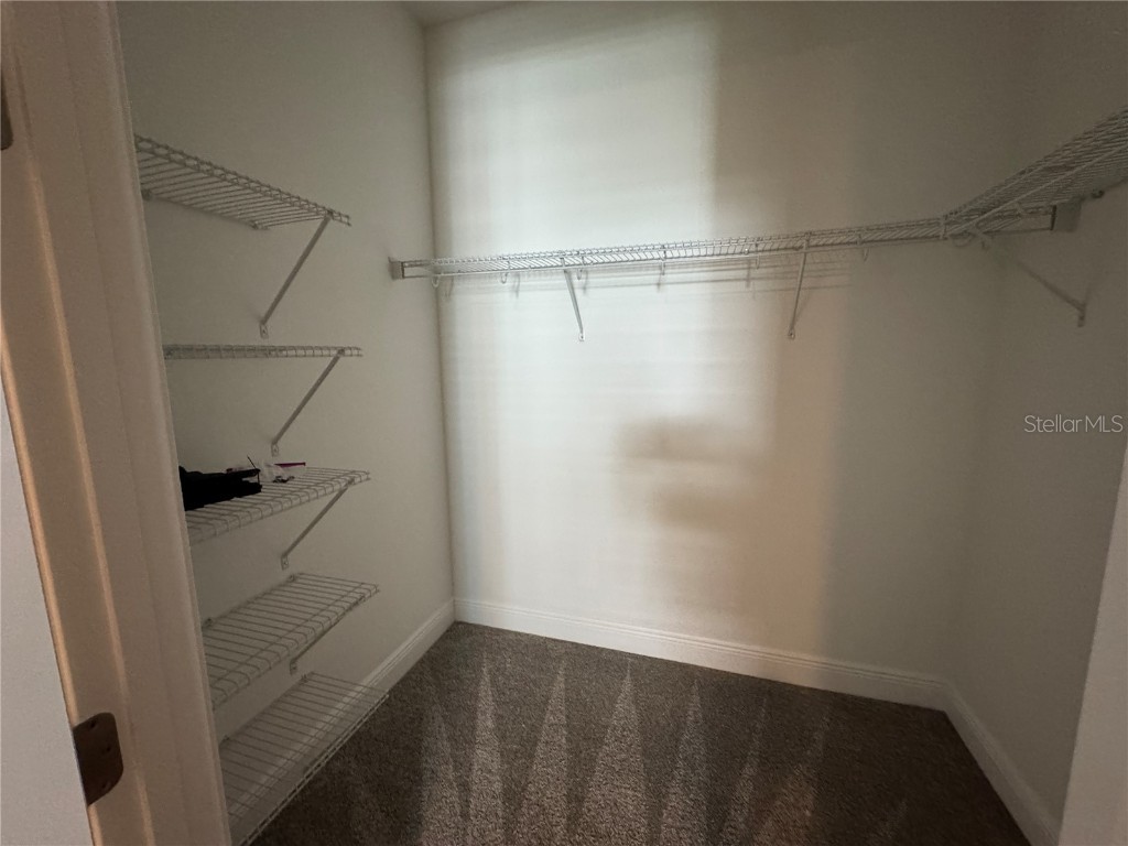 239 Okeeffe Circle Bradenton FL 34212 A4656250 image26