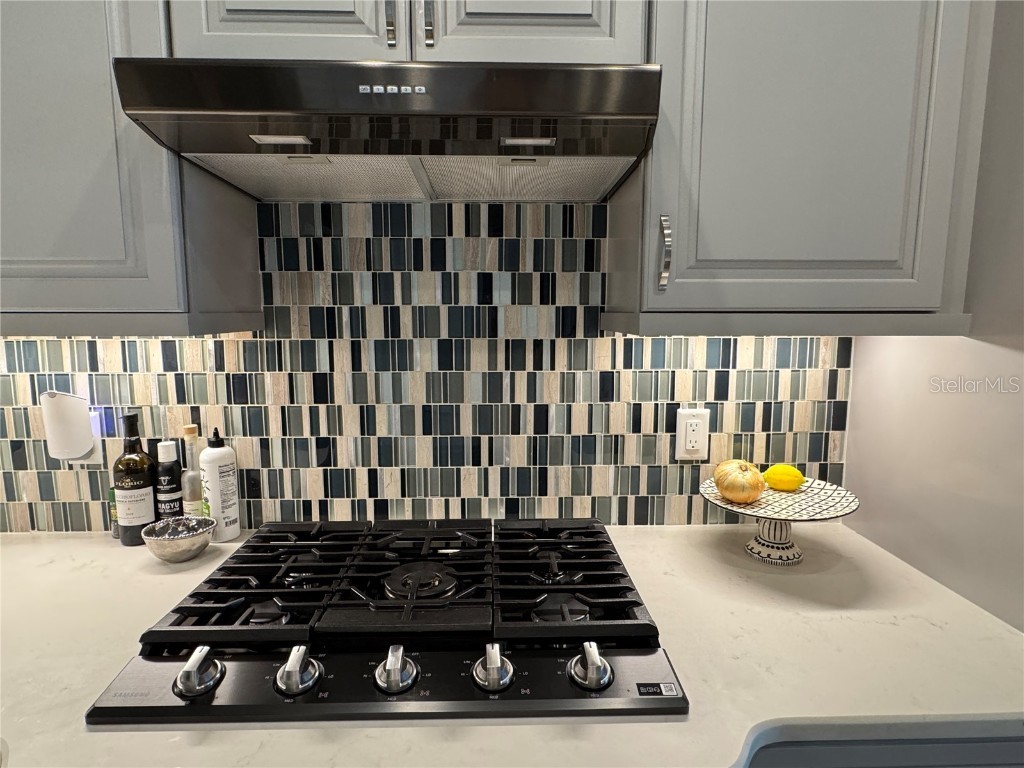 239 Okeeffe Circle Bradenton FL 34212 A4656250 image33