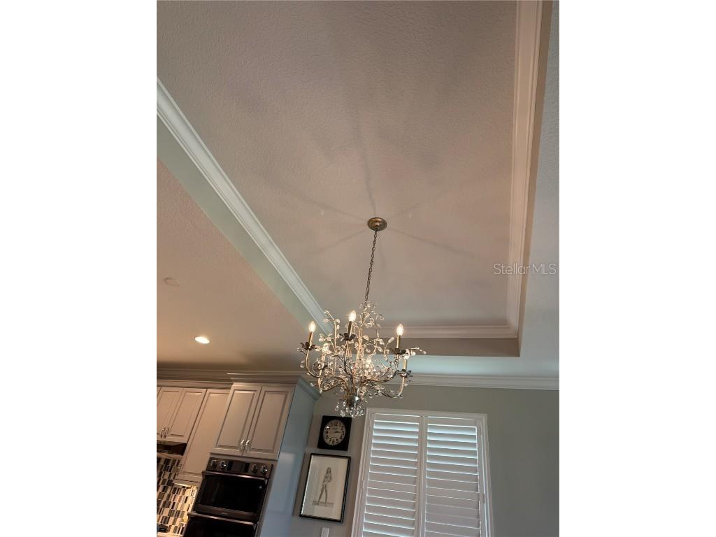 239 Okeeffe Circle Bradenton FL 34212 A4656250 image36