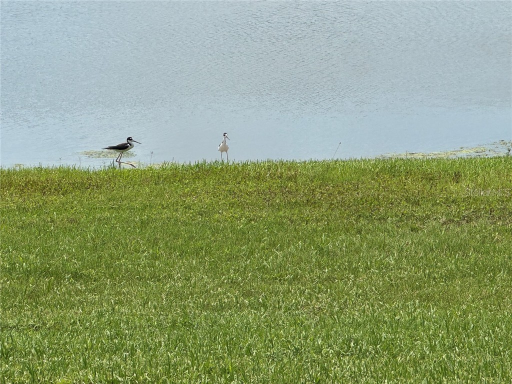 239 Okeeffe Circle Bradenton FL 34212 A4656250 image84