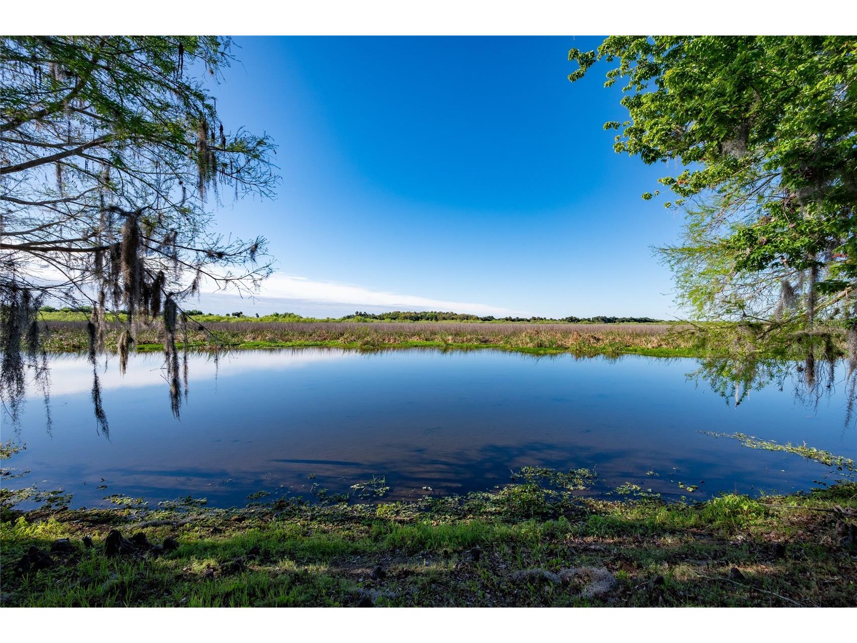 239 River Village Drive Debary FL 32713 O6391077 image3