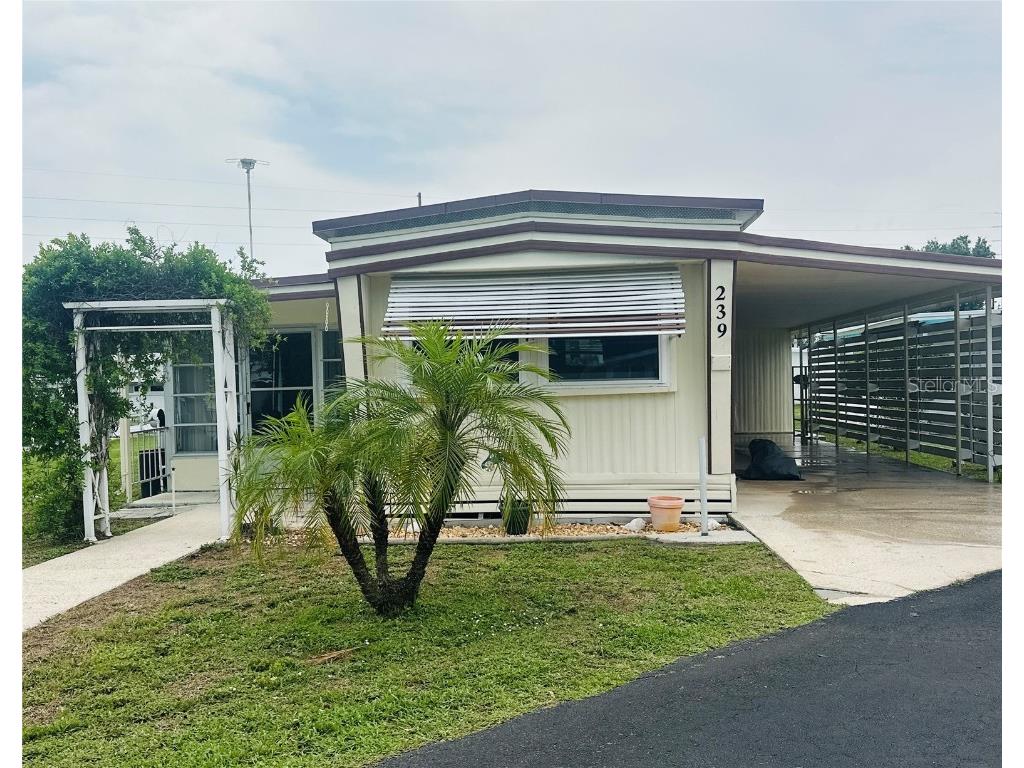 239 Rue De Fontaine Tavares FL 32778 G5097981 image1