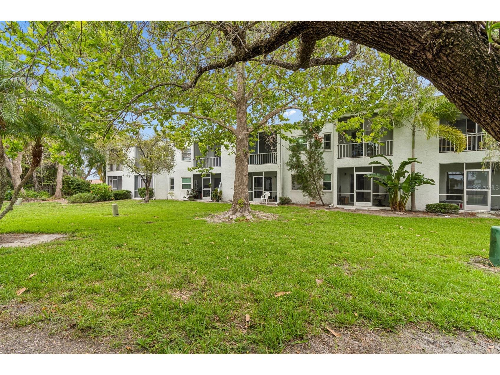 239 S Mcmullen Booth Road #37 Clearwater FL 33759 TB8515913 image20