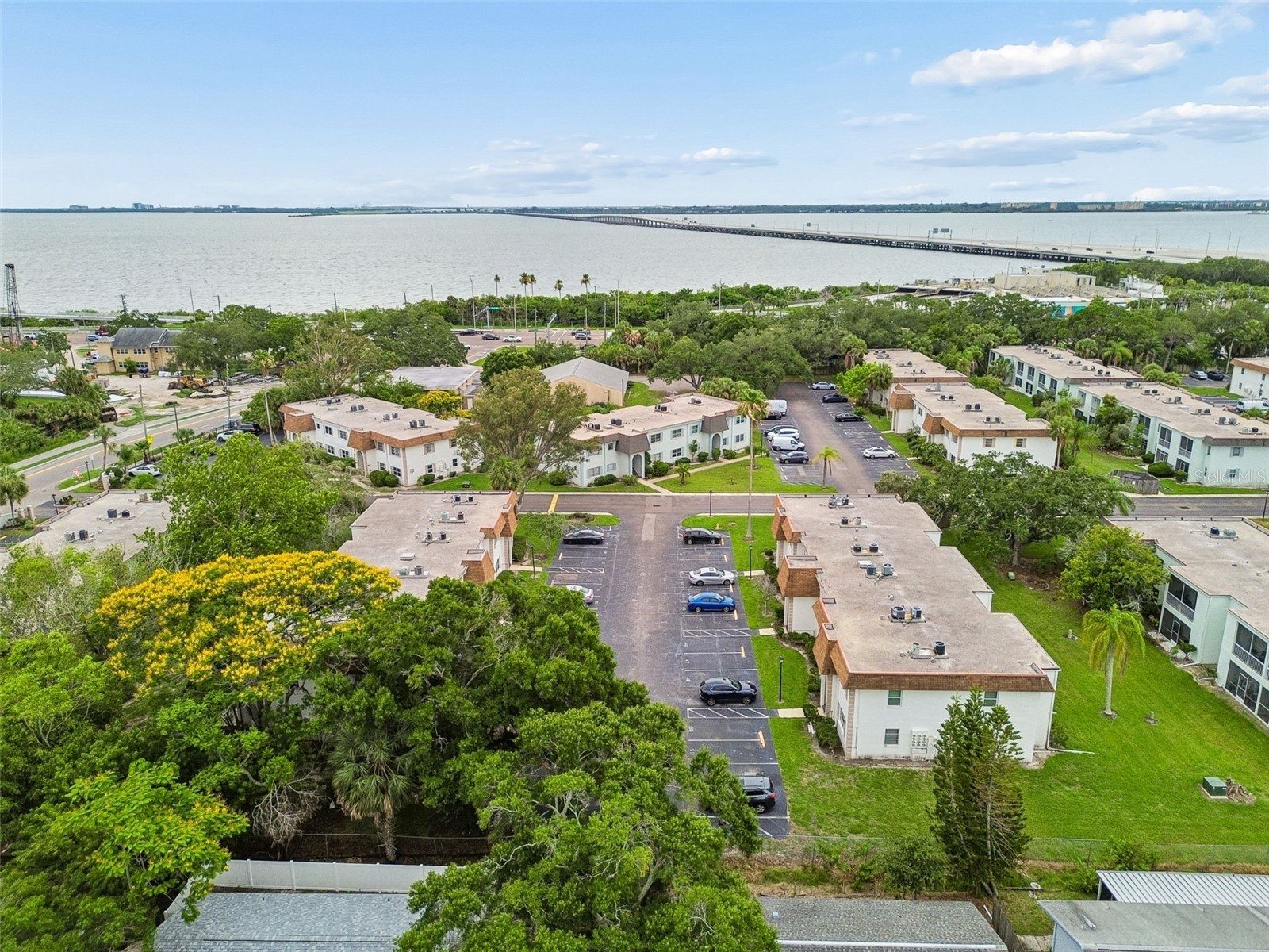 239 S Mcmullen Booth Road #37 Clearwater FL 33759 TB8515913 image25