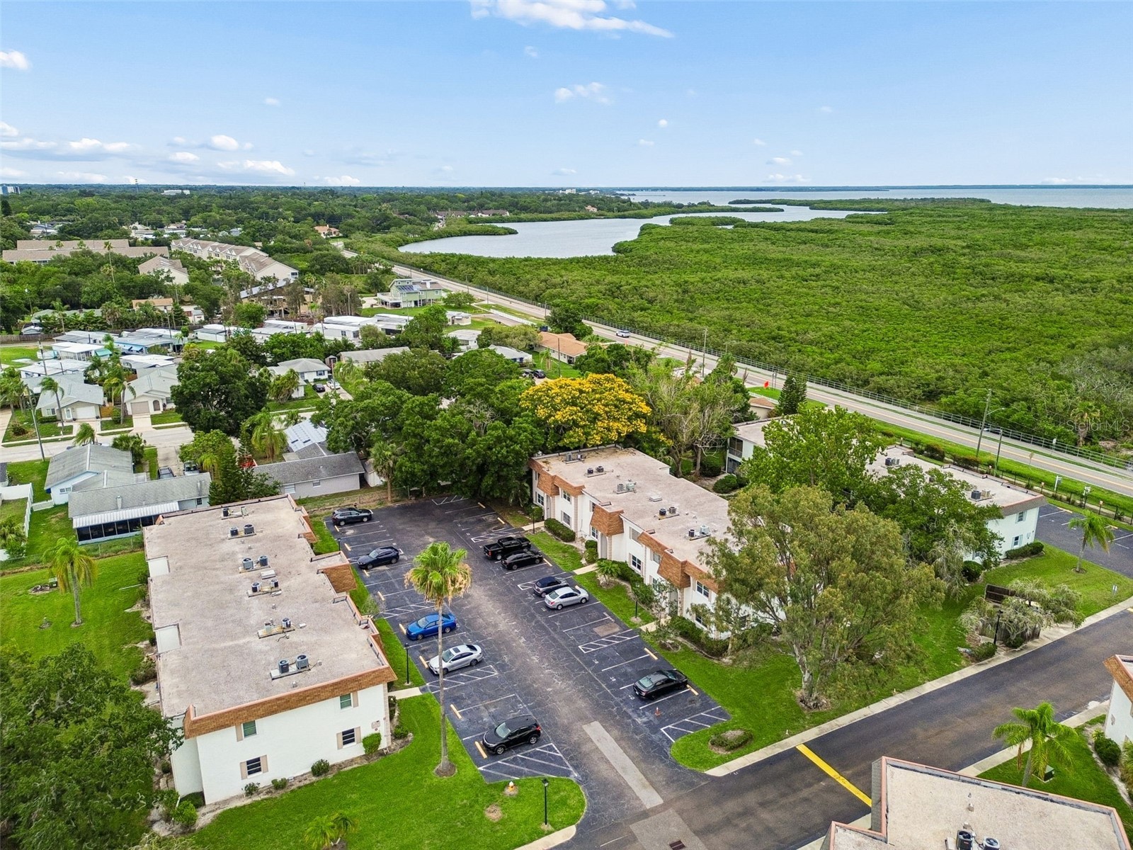 239 S Mcmullen Booth Road #37 Clearwater FL 33759 TB8515913 image26