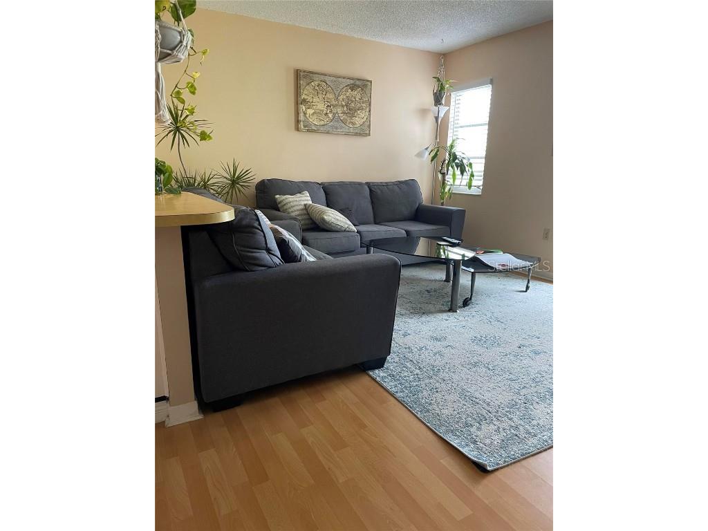 239 S Mcmullen Booth Road #38 Clearwater FL 33759 O6264254 image10