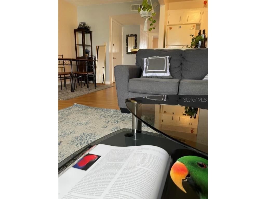 239 S Mcmullen Booth Road #38 Clearwater FL 33759 O6264254 image11