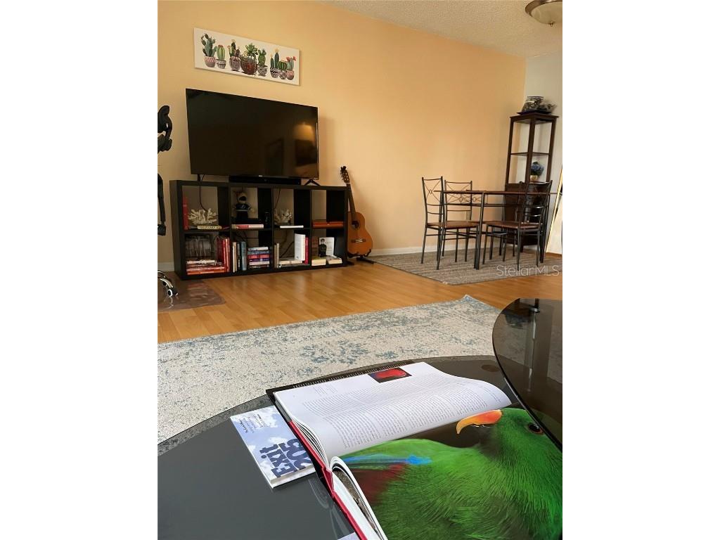 239 S Mcmullen Booth Road #38 Clearwater FL 33759 O6264254 image12