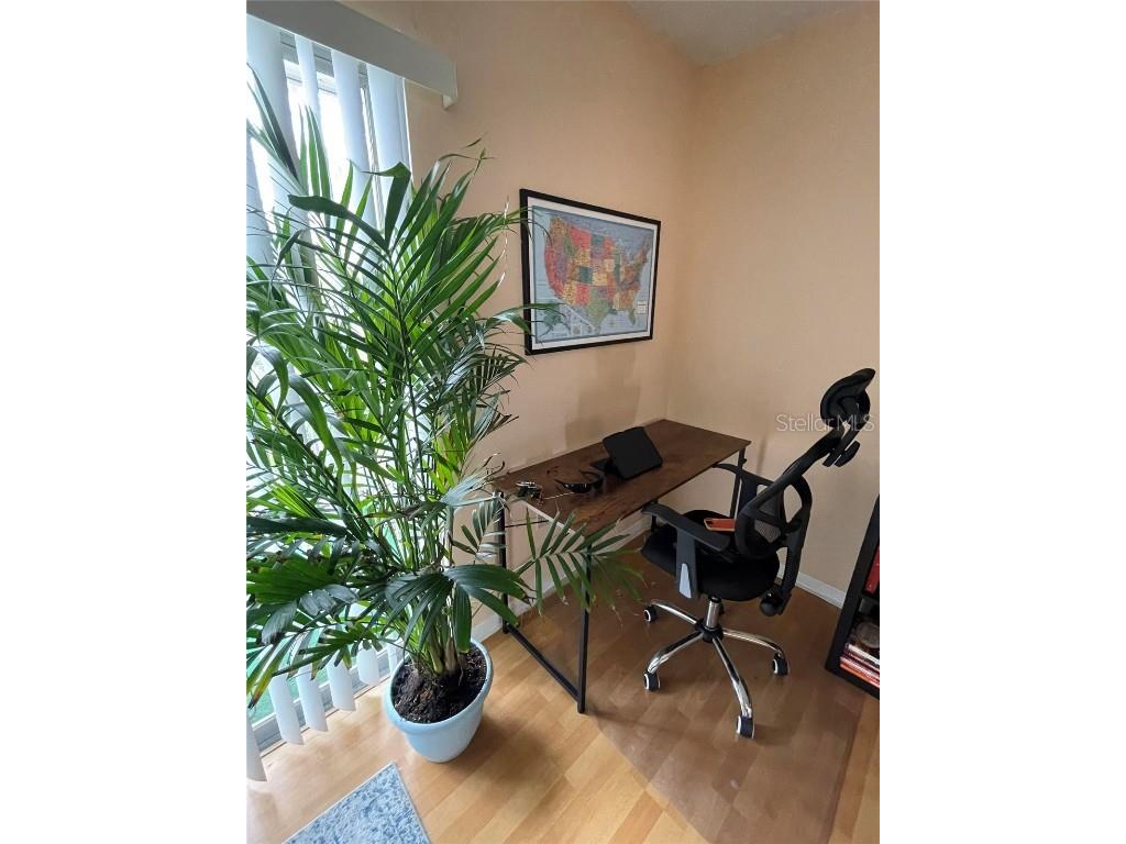 239 S Mcmullen Booth Road #38 Clearwater FL 33759 O6264254 image14