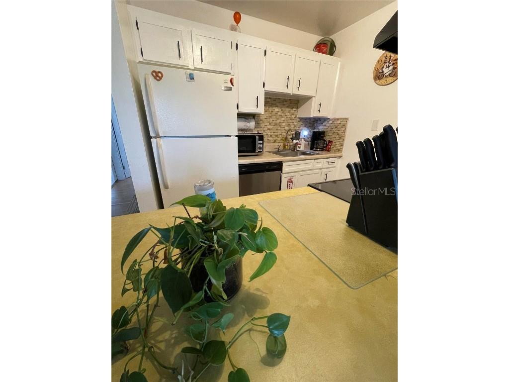 239 S Mcmullen Booth Road #38 Clearwater FL 33759 O6264254 image15