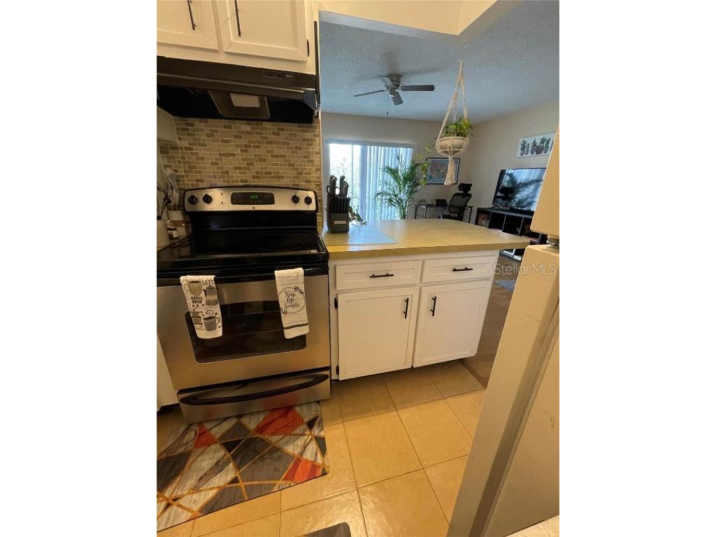 239 S Mcmullen Booth Road #38 Clearwater FL 33759 O6264254 image18