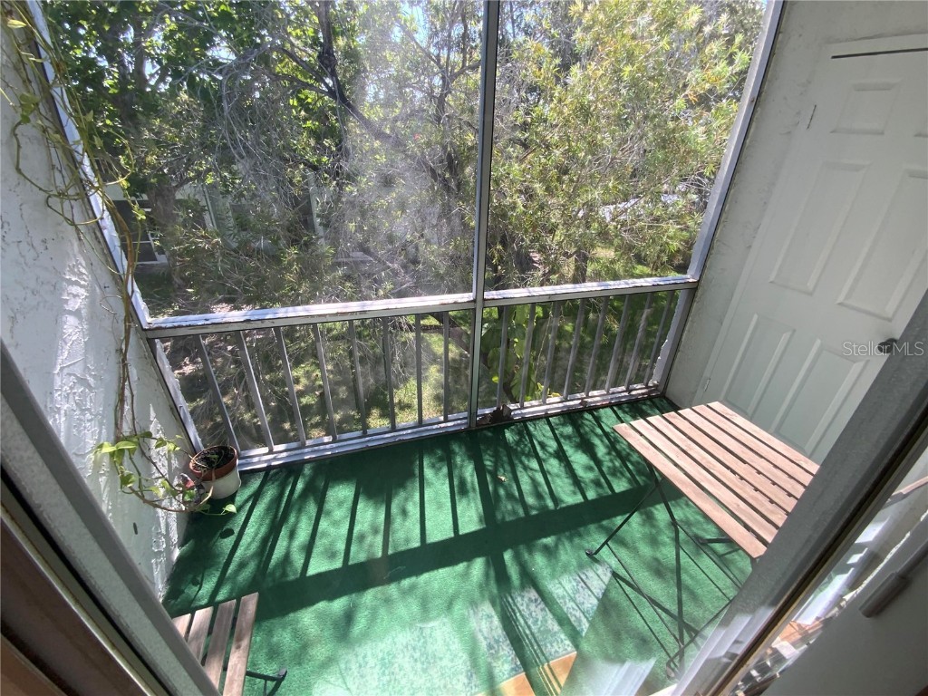 239 S Mcmullen Booth Road #38 Clearwater FL 33759 O6264254 image28