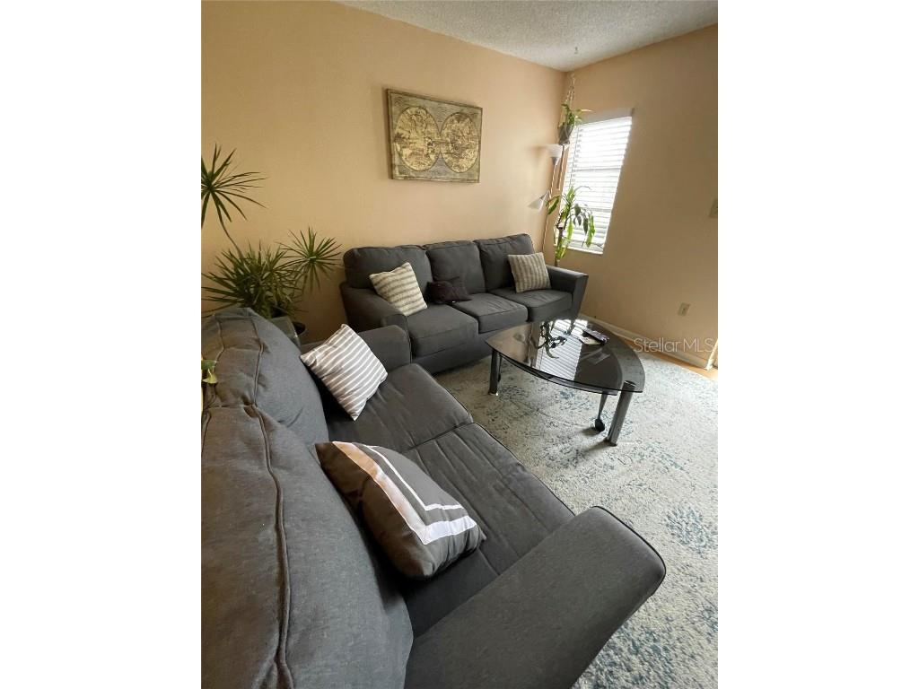 239 S Mcmullen Booth Road #38 Clearwater FL 33759 O6264254 image5