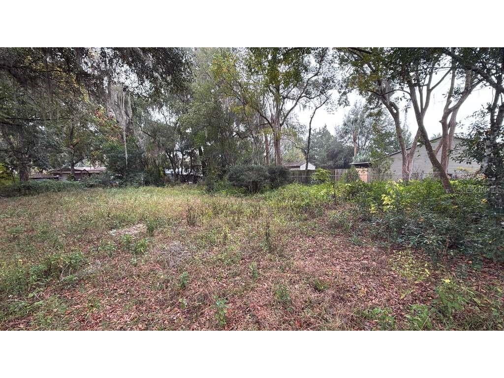 239 S Pine Street Deland FL 32724 O6372206 image1