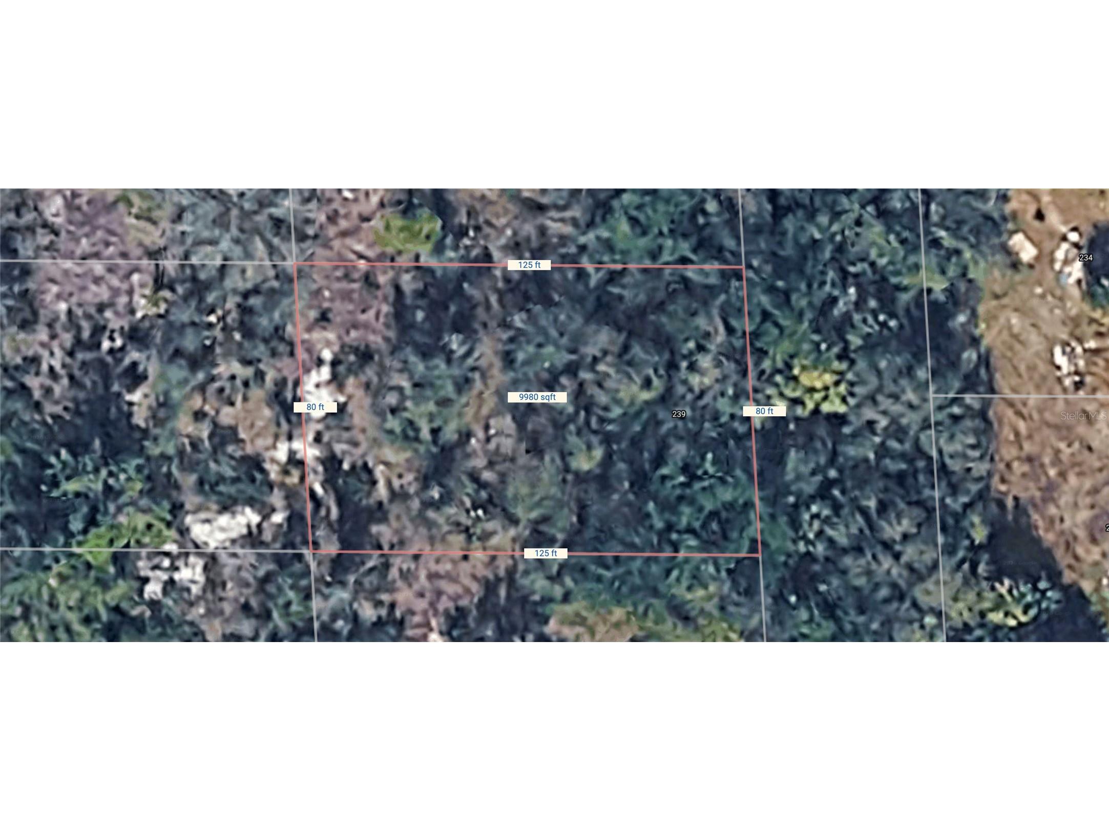 239 Sawfish Lane Punta Gorda FL 33982 C7526153 image3