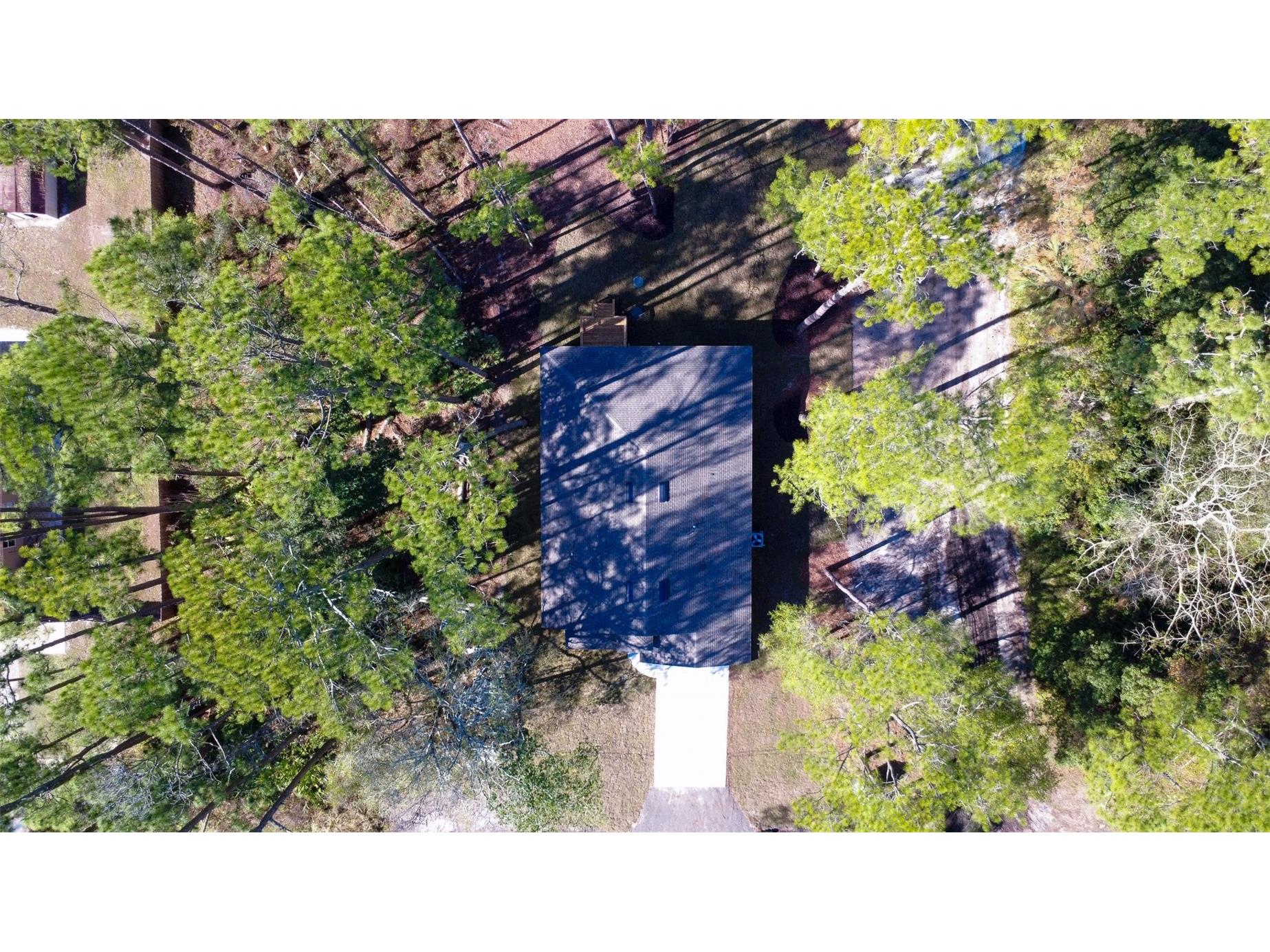 2390 9th Ave Deland FL 32724 O6396633 image49