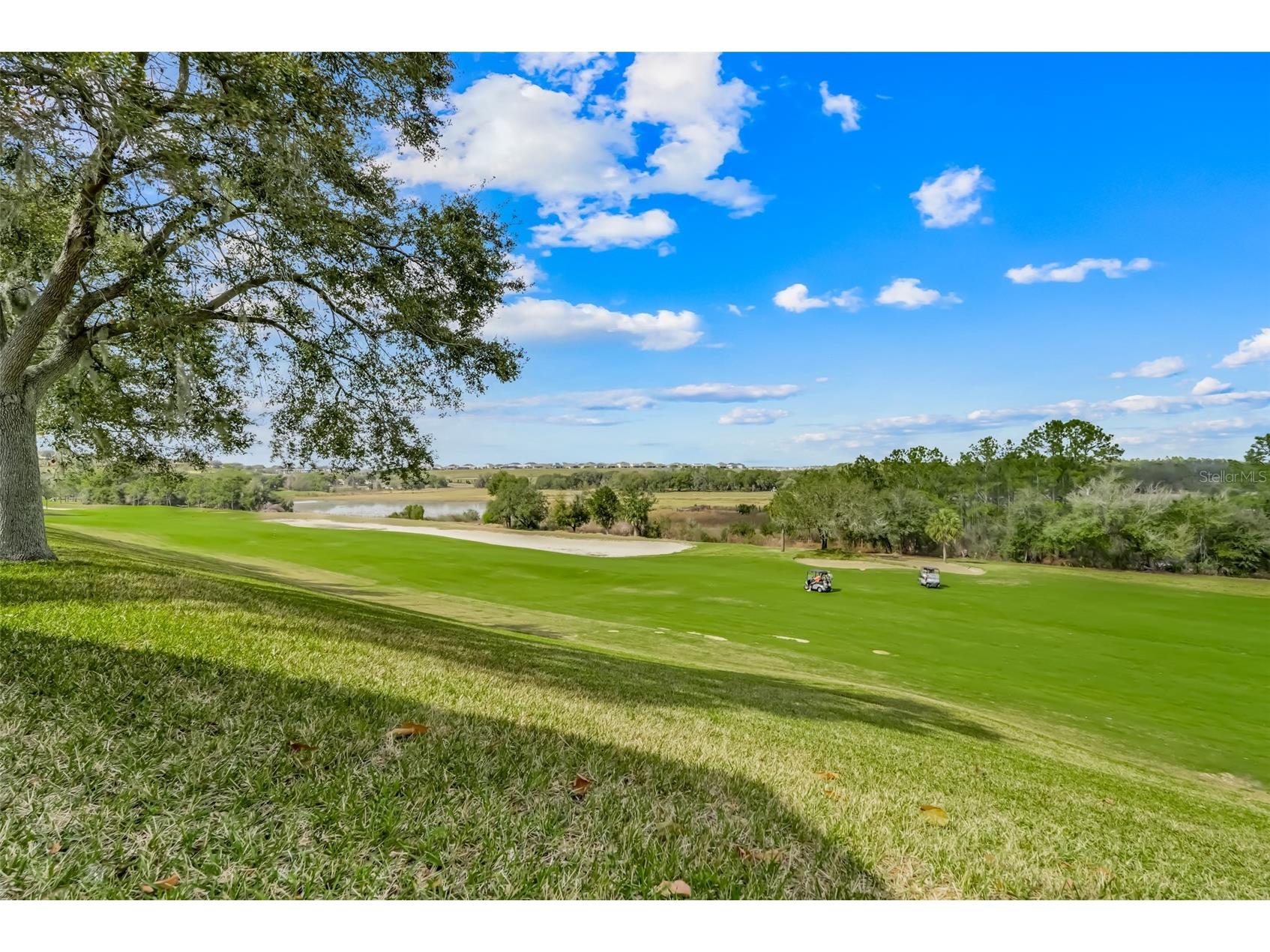 2390 Caledonian Street Clermont FL 34711 O6384621 image14