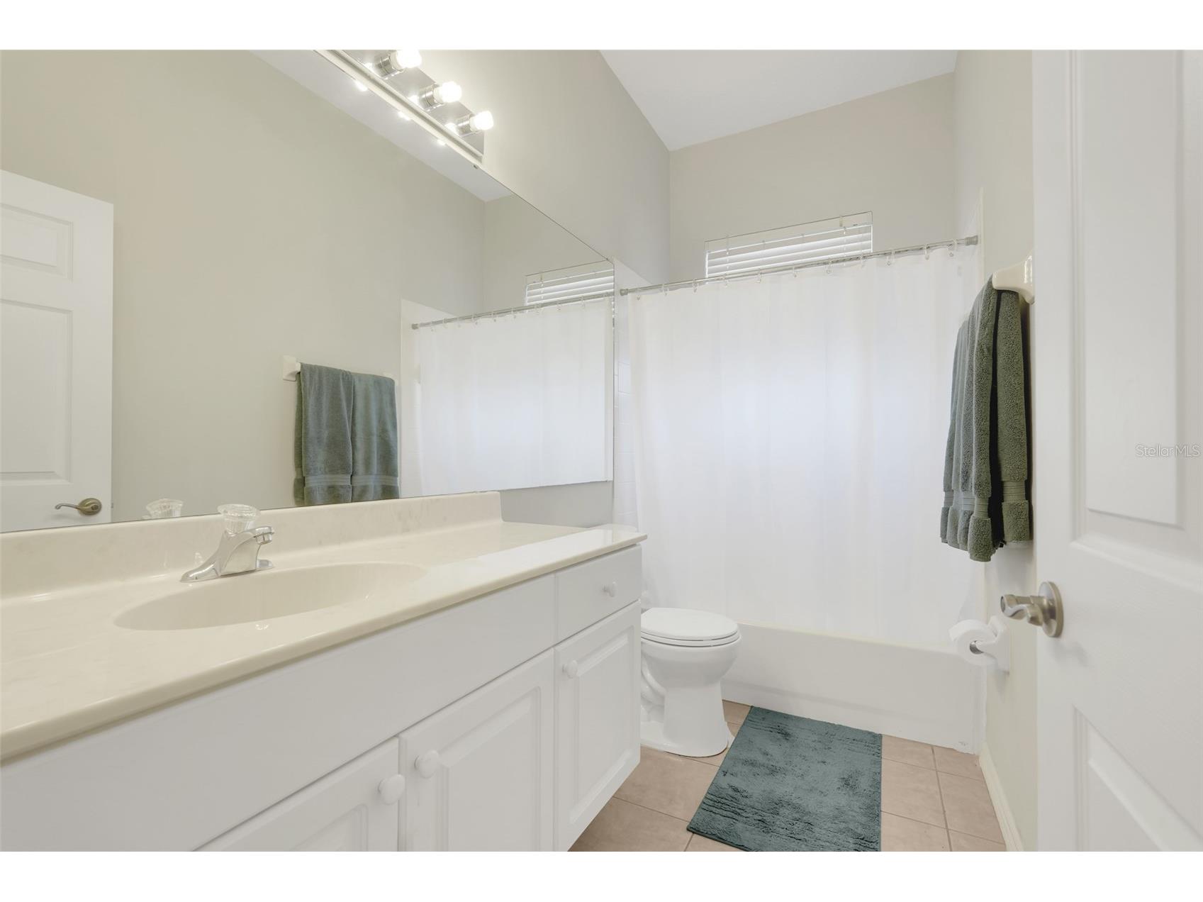 2390 Caledonian Street Clermont FL 34711 O6384621 image29