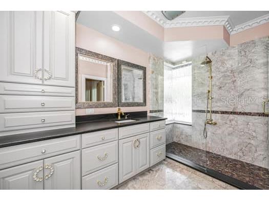 2390 Kent Place Clearwater FL 33764 TB8480169 image51