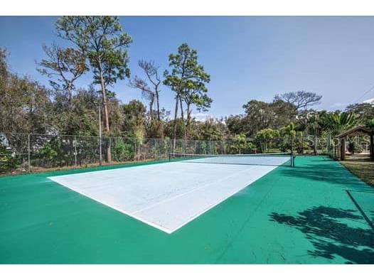 2390 Kent Place Clearwater FL 33764 TB8480169 image70