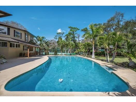 2390 Kent Place Clearwater FL 33764 TB8480169 image74