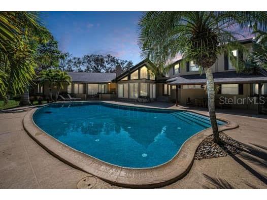 2390 Kent Place Clearwater FL 33764 TB8480169 image77