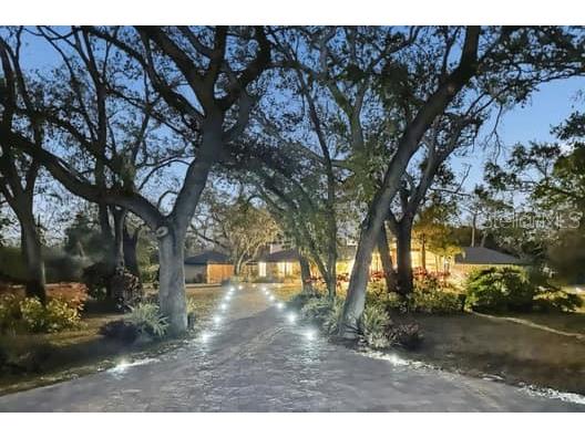 2390 Kent Place Clearwater FL 33764 TB8480169 image79