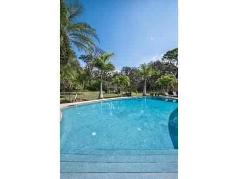 2390 Kent Place Clearwater FL 33764 TB8480169 image86