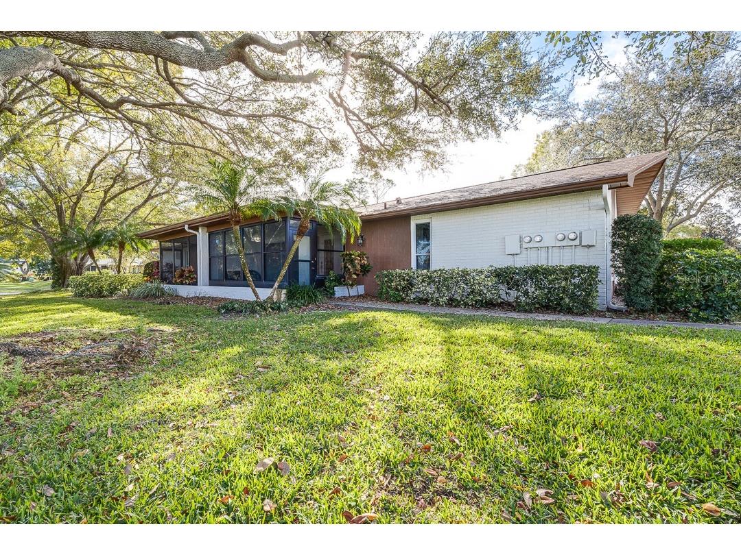 2390 Shelly Drive #C Palm Harbor FL 34684 T3493658 image1