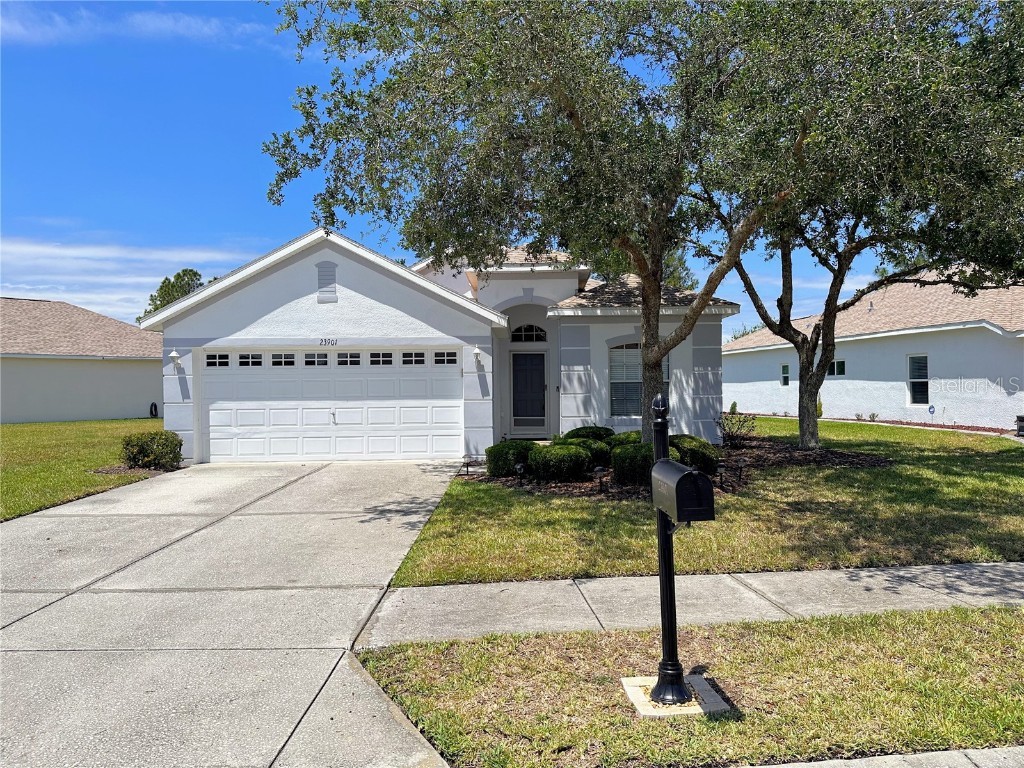 23901 Coral Ridge Lane Land O Lakes FL 34639 T3444045 image1