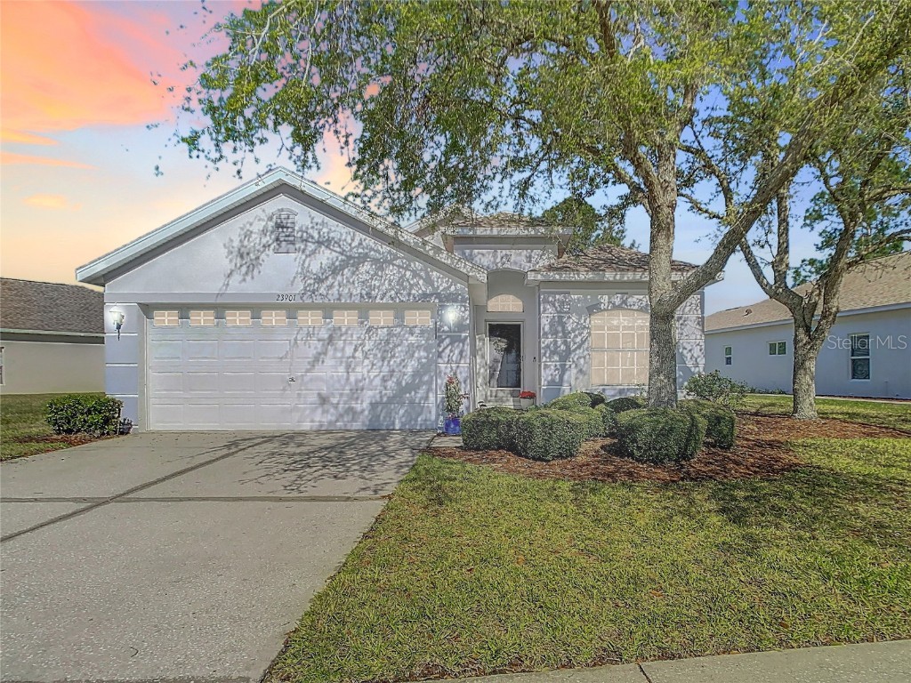 23901 Coral Ridge Lane Land O Lakes FL 34639 TB8358139 image1