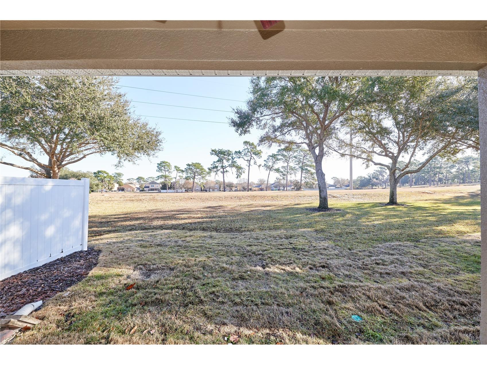 23903 Sardinia Drive Sorrento FL 32776 O6402326 image38