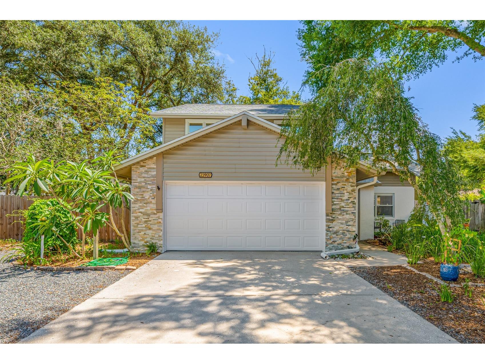 23907 Lake Bark Court Lutz FL 33559 TB8499561 image1