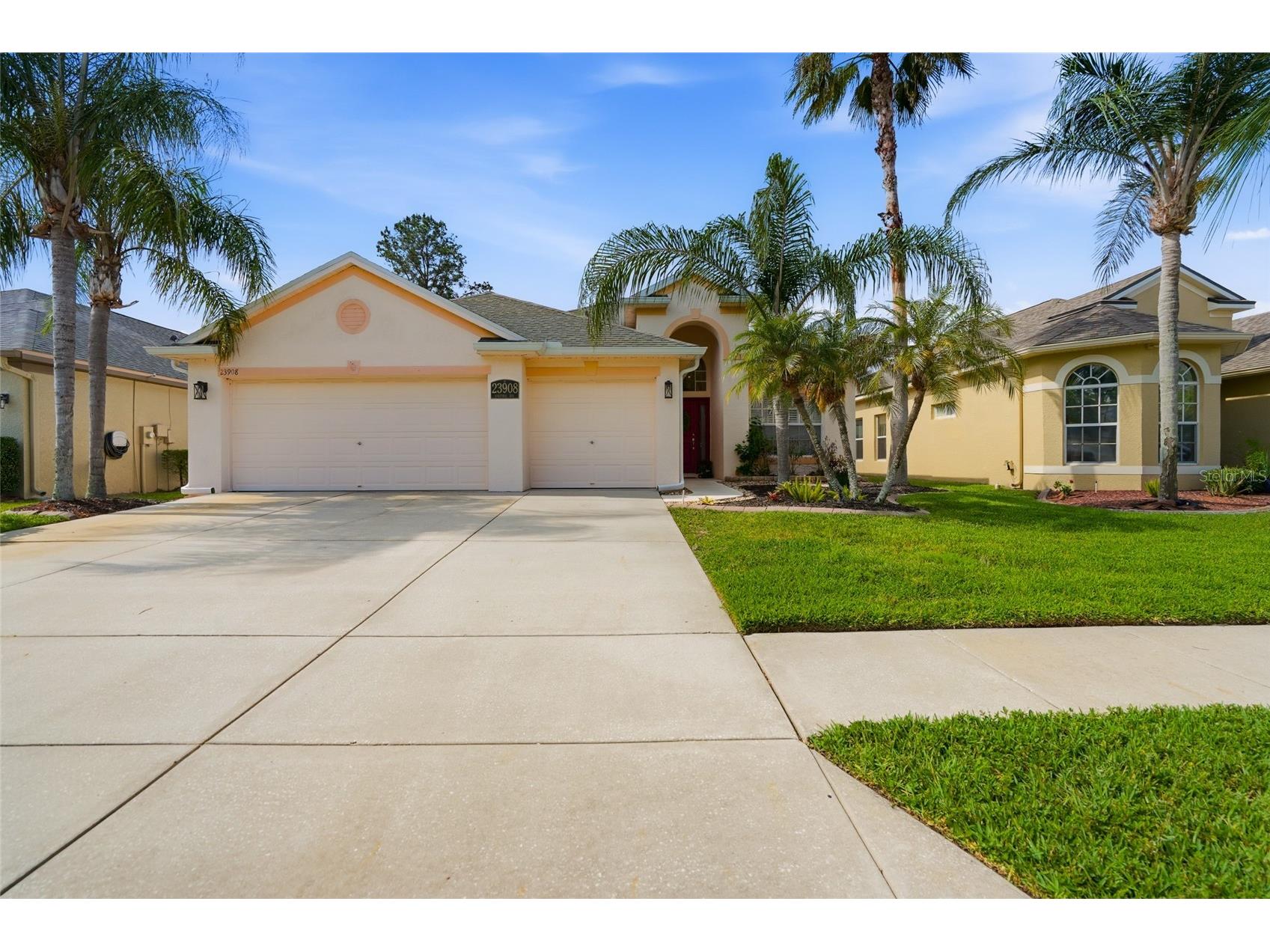 23908 Hastings Way Land O Lakes FL 34639 TB8507414 image2