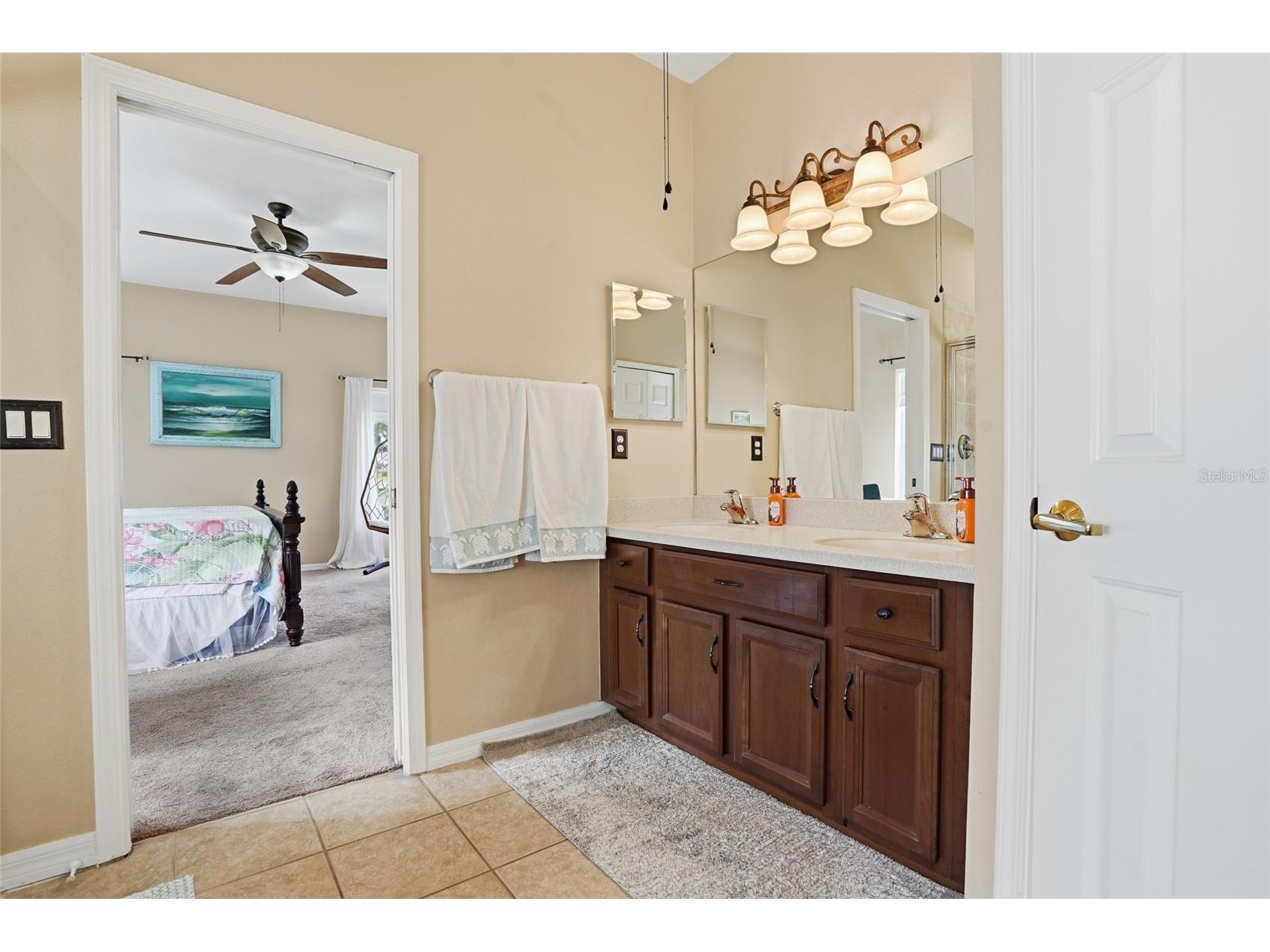 23908 Hastings Way Land O Lakes FL 34639 TB8507414 image24
