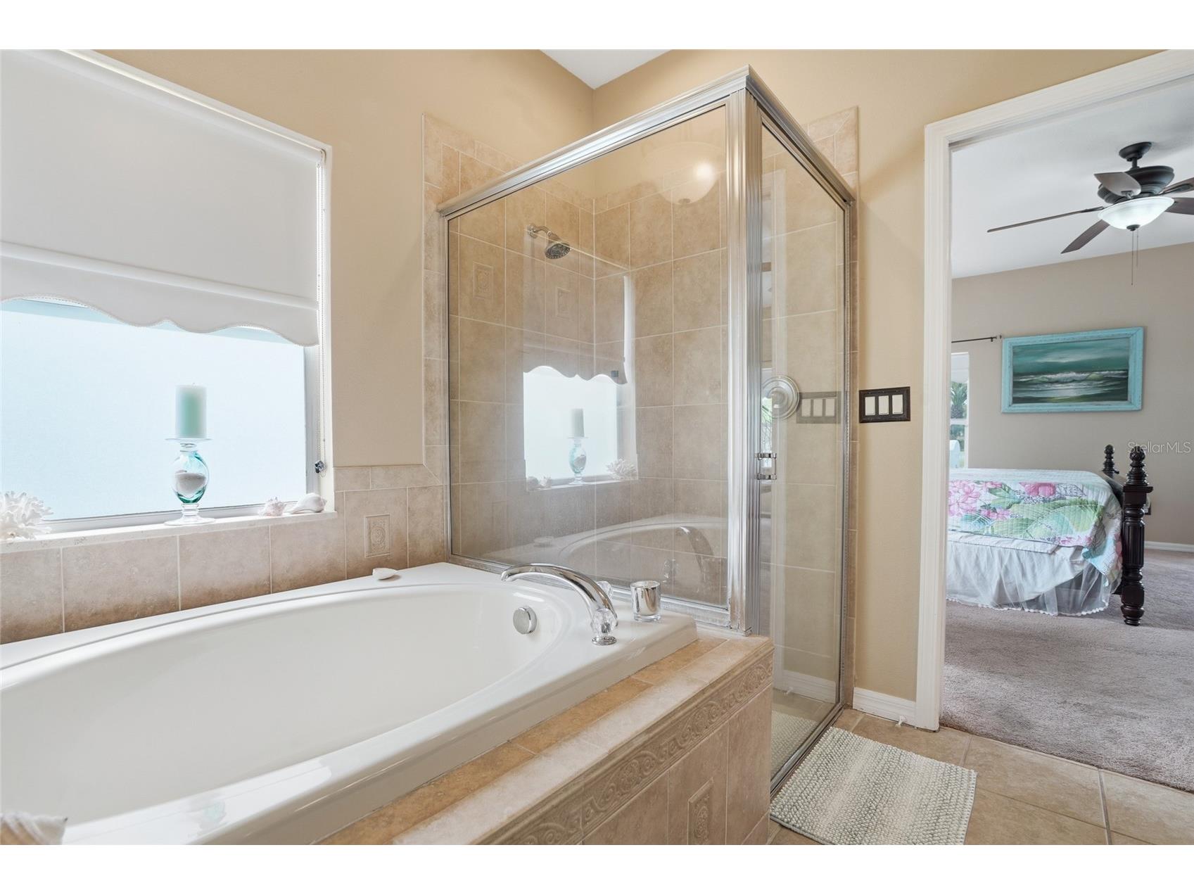 23908 Hastings Way Land O Lakes FL 34639 TB8507414 image25