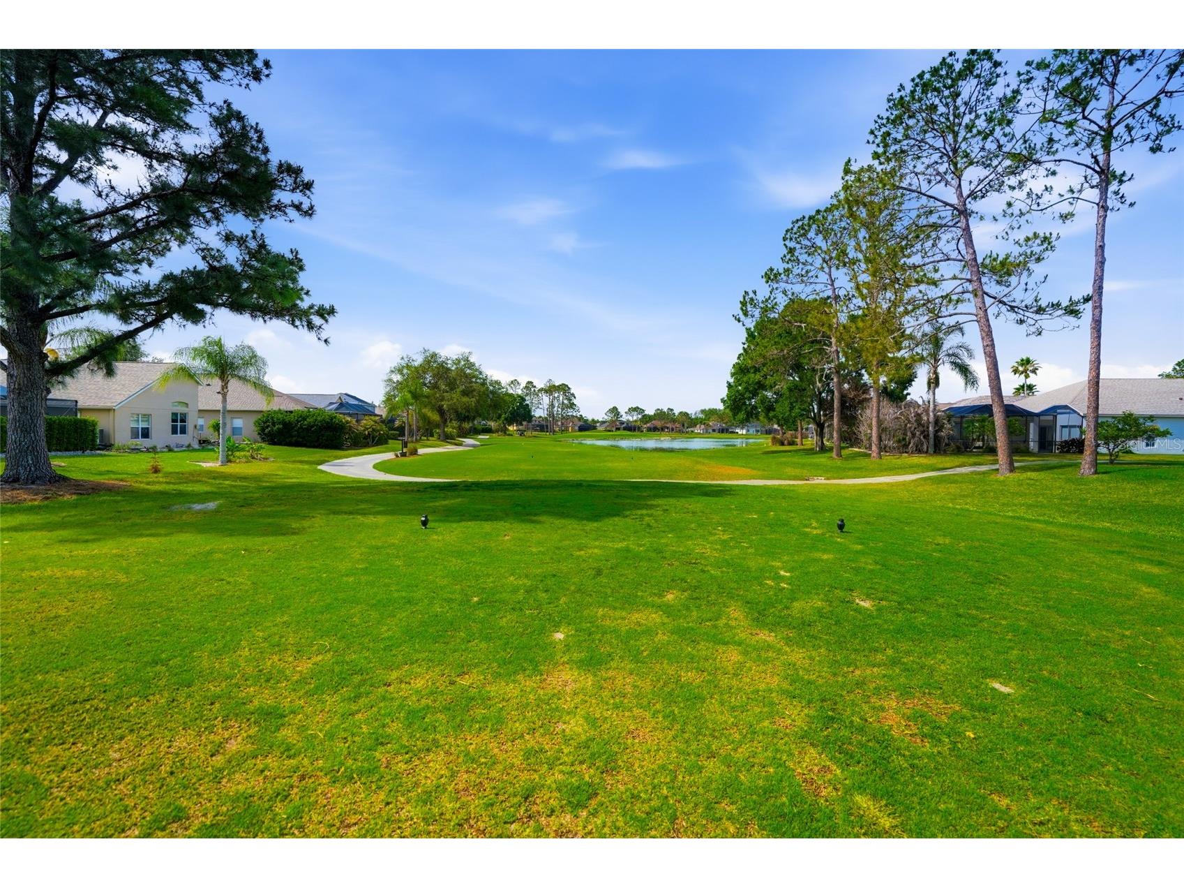 23908 Hastings Way Land O Lakes FL 34639 TB8507414 image37