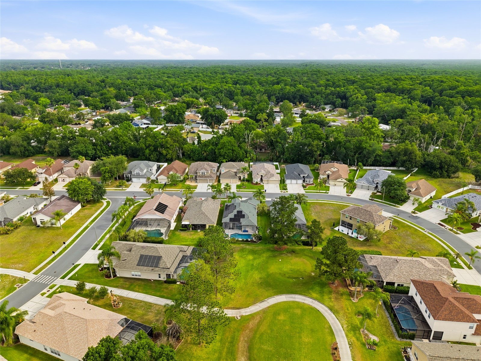 23908 Hastings Way Land O Lakes FL 34639 TB8507414 image39