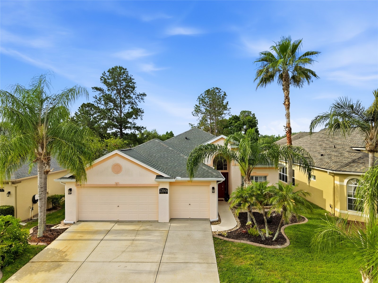 23908 Hastings Way Land O Lakes FL 34639 TB8507414 image4