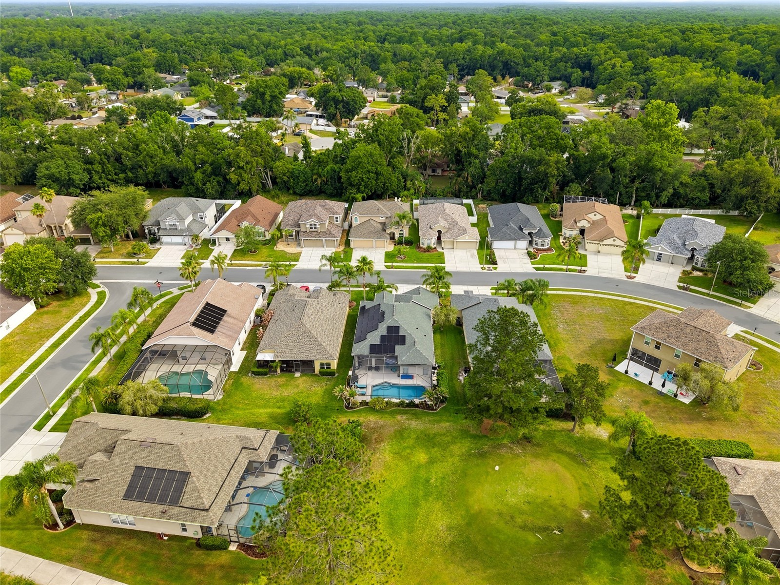 23908 Hastings Way Land O Lakes FL 34639 TB8507414 image40