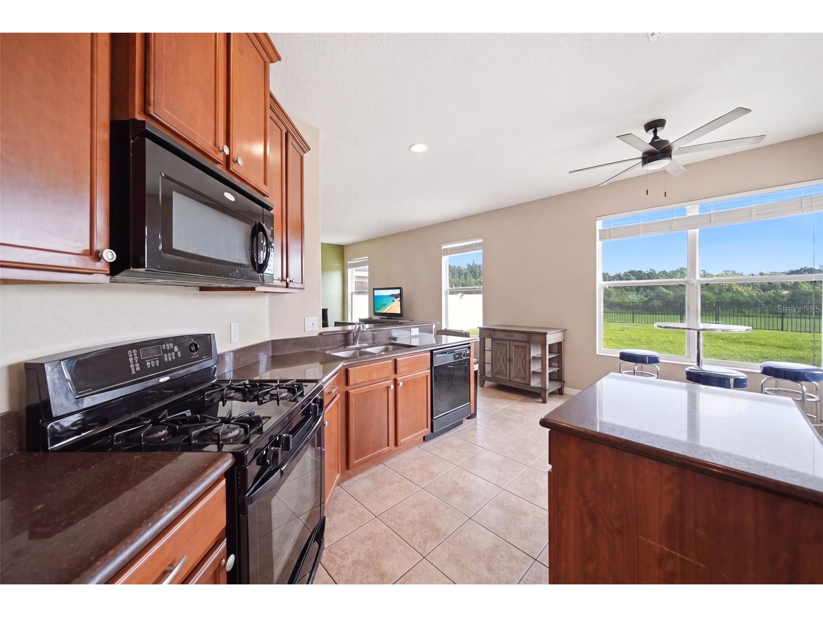 2391 Sabastian St Mount Dora FL 32757 G5115348 image12