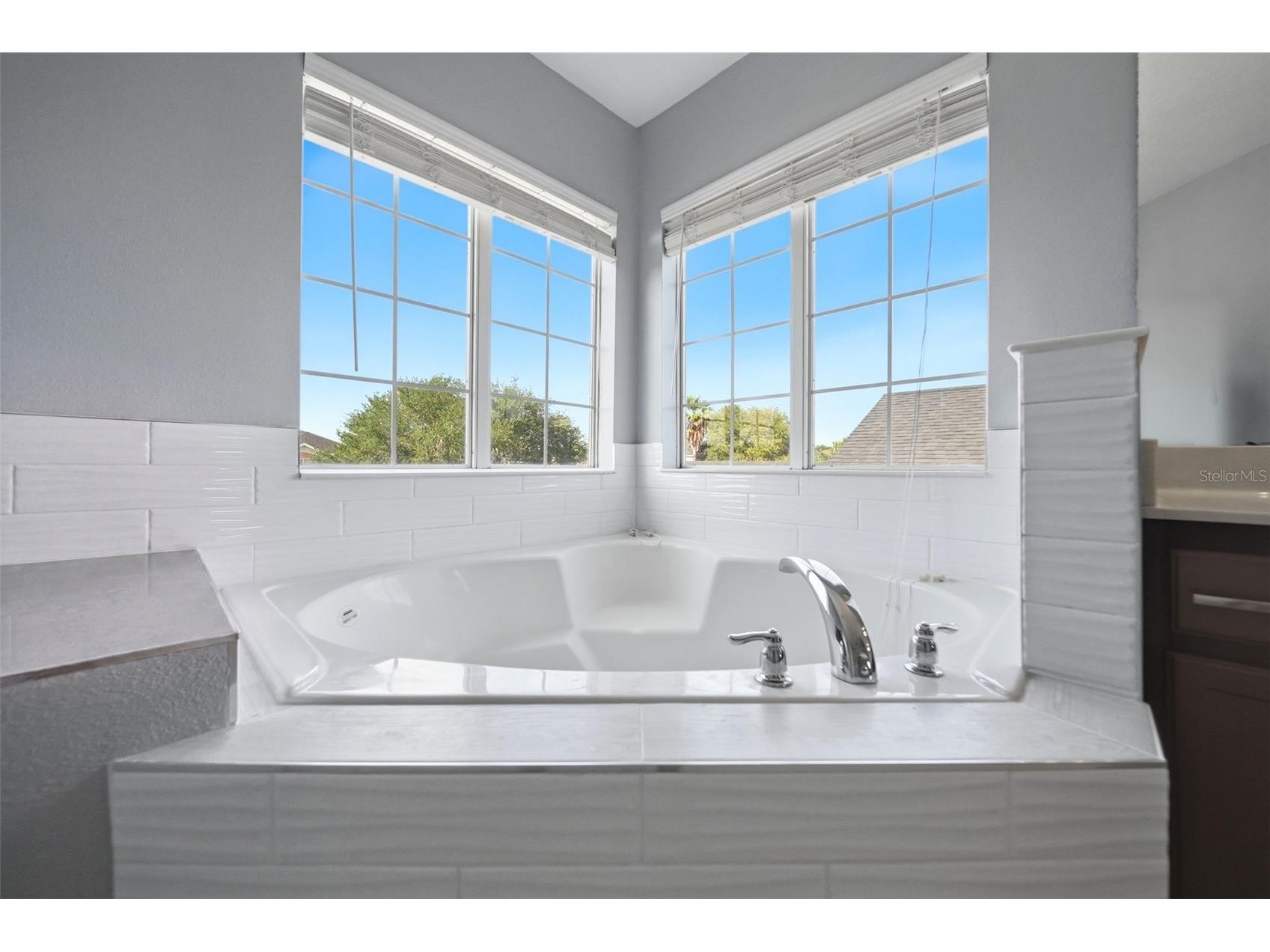 2391 Sabastian St Mount Dora FL 32757 G5115348 image36