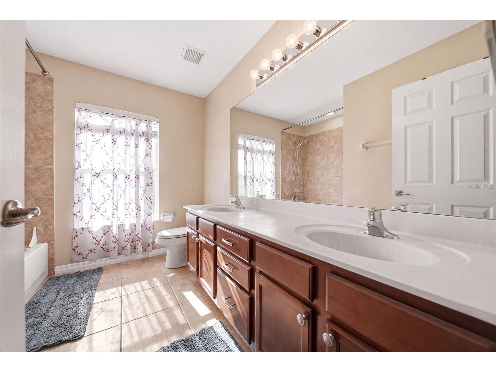 2391 Sabastian St Mount Dora FL 32757 G5115348 image39
